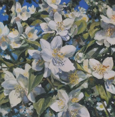 Jasmin